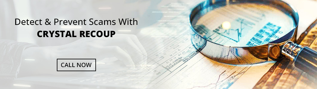 fraud investigation services​